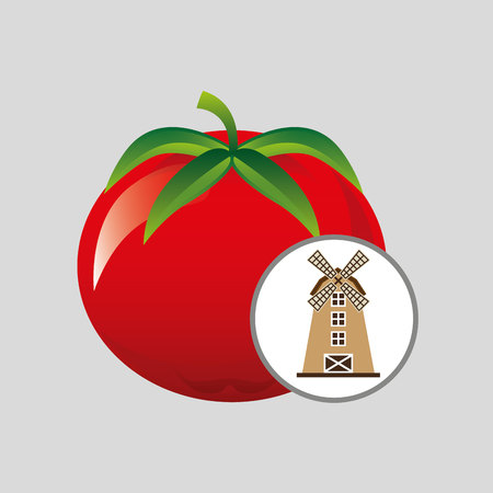 windmill and organic tomato icon, vector illustrationのイラスト素材
