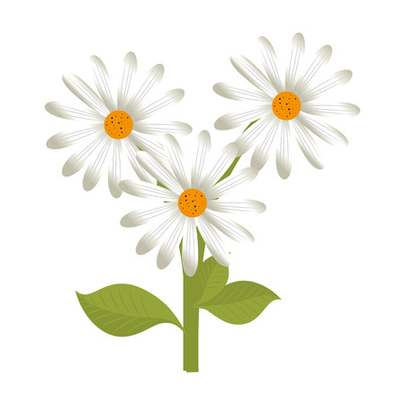 flower bouquet floral spring plant petal nature decorative vector illustration isolatedのイラスト素材