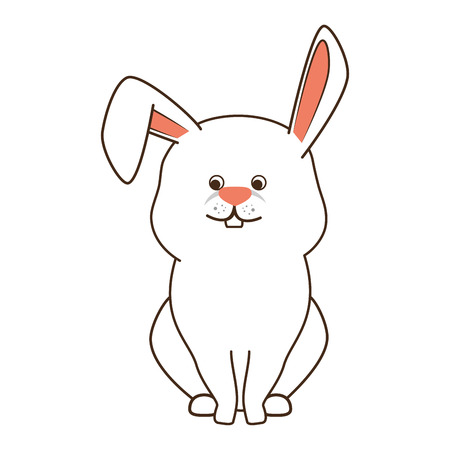 rabbit bunny pet sweet and cute animal domestic vector illustrationのイラスト素材