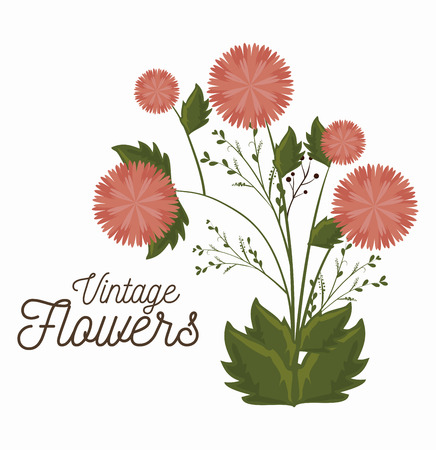 vintage flowers decoration icon vector illustration iconのイラスト素材
