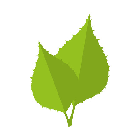 leaf natural green plant ecology sheet foliage enviroment vector illustrationのイラスト素材