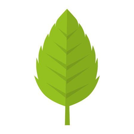 leaf natural green plant ecology sheet foliage enviroment vector illustrationのイラスト素材