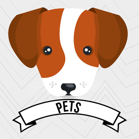 dog pet mascot icon vector illustration iconのイラスト素材