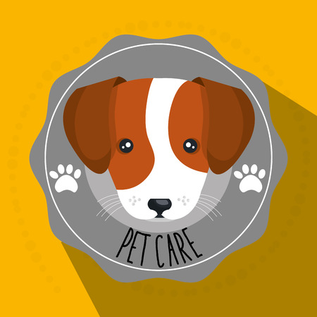 dog pet care icon vector illustration icon eps 10のイラスト素材