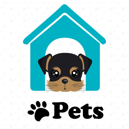 dog pets house icon vector illustration icon eps 10のイラスト素材