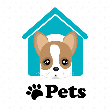 dog pets house icon vector illustration icon eps 10のイラスト素材