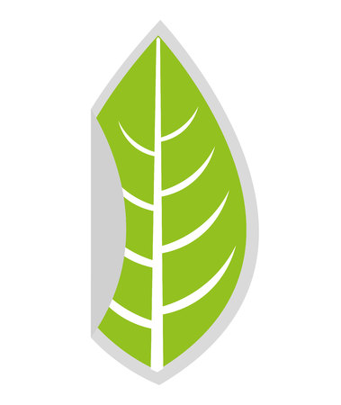 leaf plant nature isolated icon vector illustration designのイラスト素材