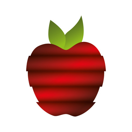red whole apple fruit food agriculture healthy lifestyle vector illustrationのイラスト素材
