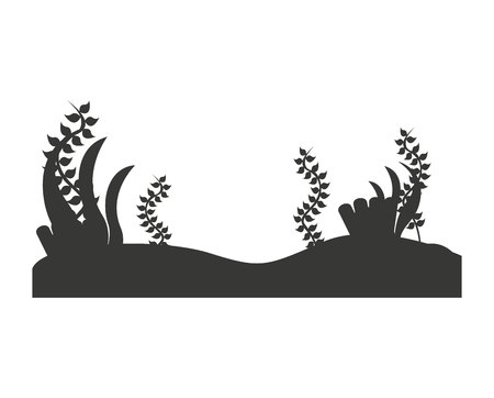 kelp plant isolated icon vector illustration designのイラスト素材