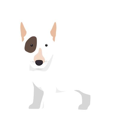 bull terrier breed dog canine pet animal. puppy cartoon. vector illustrationのイラスト素材