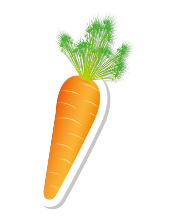 carrot vegetable isolated icon vector illustration designのイラスト素材
