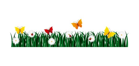 garden flowers and butterflies vector illustration designのイラスト素材