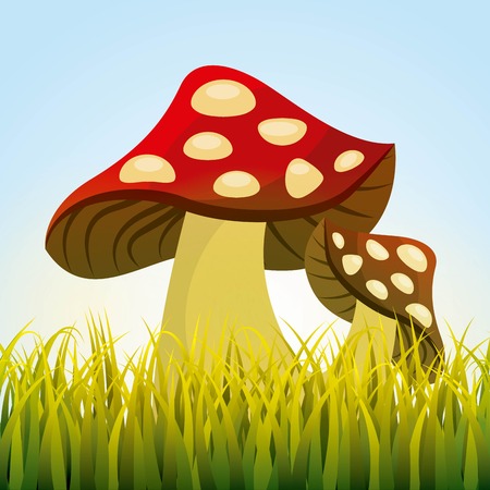 cute drawing fairy mushroom vector illustration designのイラスト素材