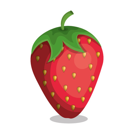 delicious fruit strawberry isolated icon vector illustration designのイラスト素材