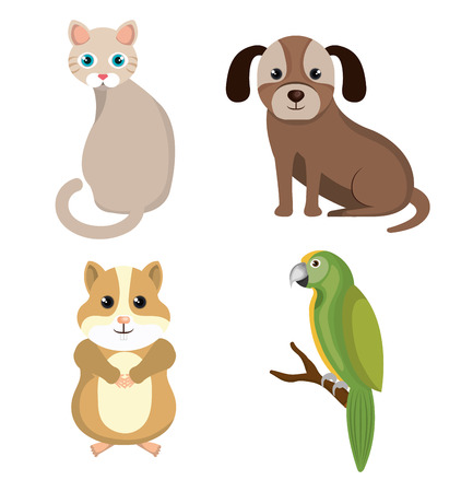 pet mascot isolated icon vector illustration designのイラスト素材