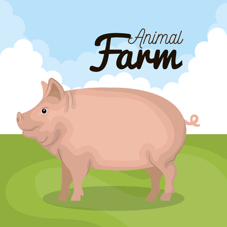 pig animal farm icon vector illustration designのイラスト素材