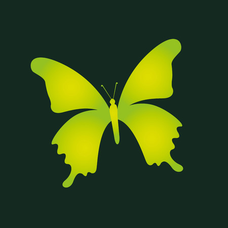 eco environment butterfly graphic vector illustrationのイラスト素材