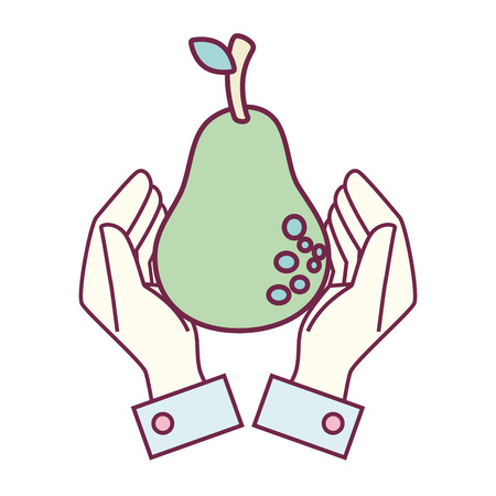 fresh fruit isolated icon vector illustration designのイラスト素材