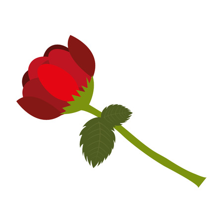 beautiful decoration floral background vector illustration designのイラスト素材