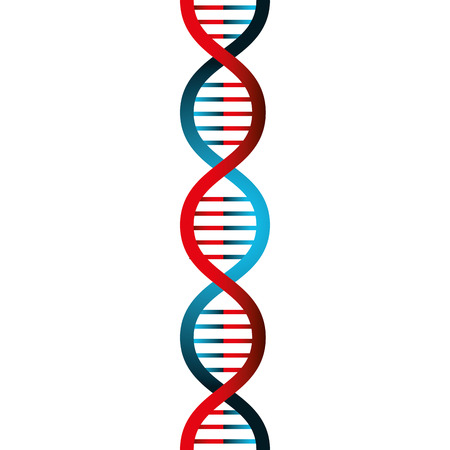 Molecular structure of DNA vector illustration designのイラスト素材
