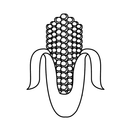 corn vegetable isolated icon vector illustration designのイラスト素材
