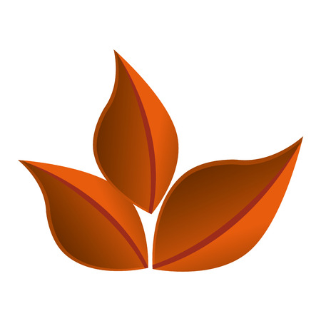 leaf plant isolated icon vector illustration designのイラスト素材