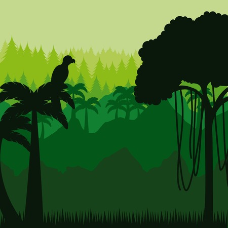 jungle landscape with palms and birds. colorful design. brazilian culture concept. vector illustrationのイラスト素材