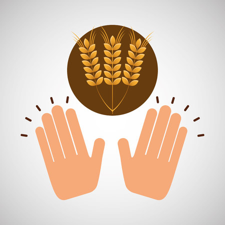 wheat spike bakery concept vector illustration eps 10のイラスト素材