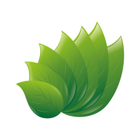 leafs plant ecology icon vector illustration designのイラスト素材