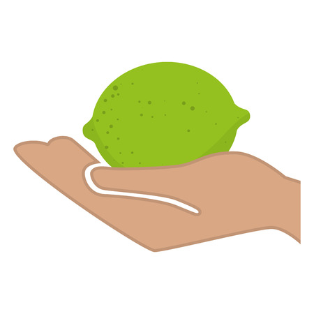 hand human with fresh fruit isolated icon vector illustration designのイラスト素材