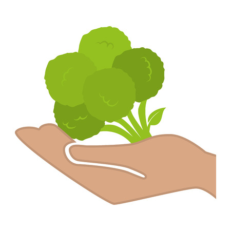 hand human with fresh vegetable isolated icon vector illustration designのイラスト素材