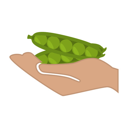 hand human with fresh vegetable isolated icon vector illustration designのイラスト素材