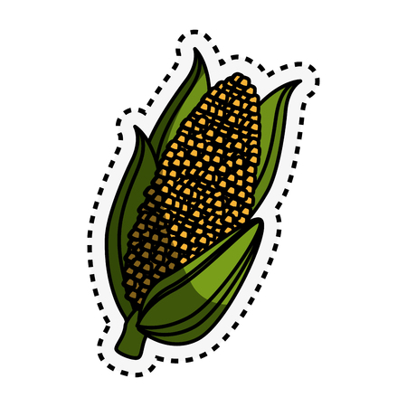 fresh vegetable with cut line isolated icon vector illustration designのイラスト素材