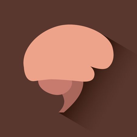 human brain organ icon over brown background. colorful design. vector illustraitonのイラスト素材