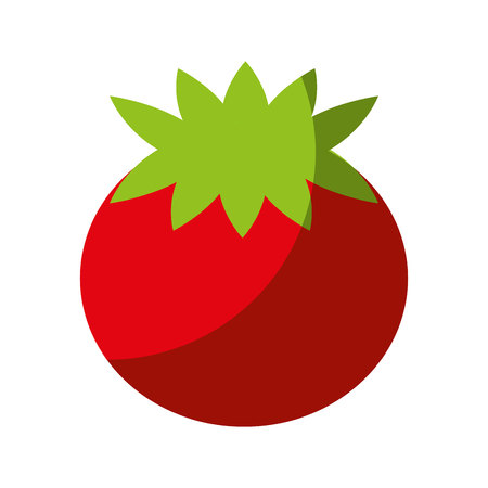 tomato fresh vegetable isolated icon vector illustration designのイラスト素材