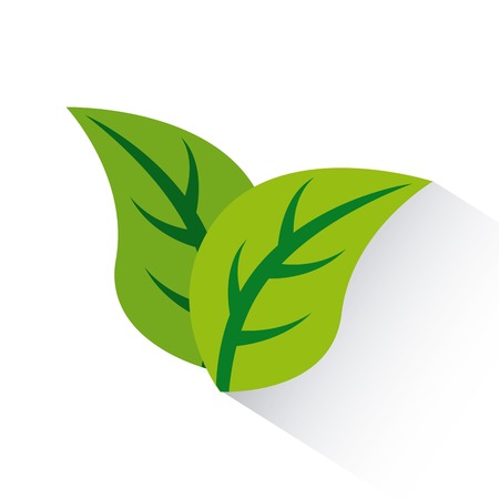 green leaves icon over white background. colorful design. vector illustrationのイラスト素材