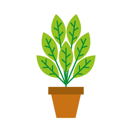 plant in pot isolated icon vector illustration designのイラスト素材