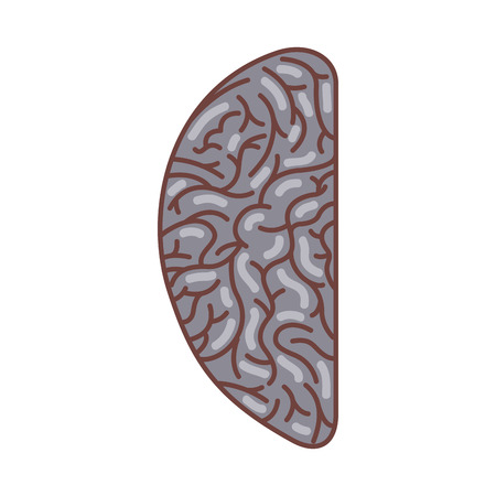 human brain organ isolated icon vector illustration designのイラスト素材