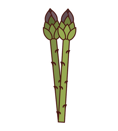 leafs plant vegetarian food vector illustration designのイラスト素材