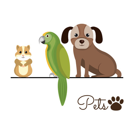 pet shop center icon vector illustration designのイラスト素材