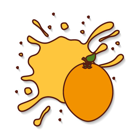 fresh fruit splash juice vector illustration designのイラスト素材