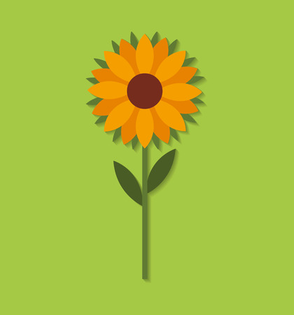 farm fresh sunflower icon vector illustration designのイラスト素材