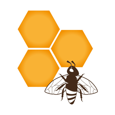 bee natural product icon vector illustration designのイラスト素材