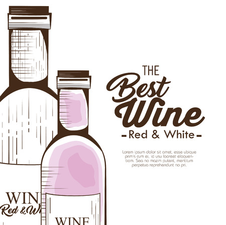 the best wine garanteed vector illustration designのイラスト素材