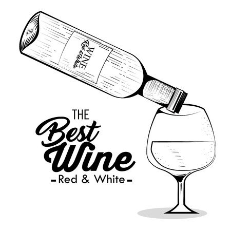 the best wine garanteed vector illustration designのイラスト素材