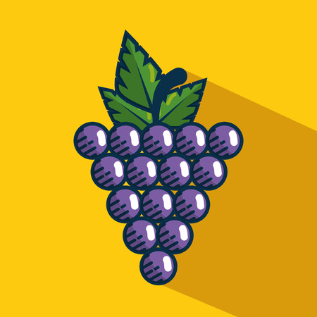grapes fresh fruit handmade drawn vector illustration designのイラスト素材