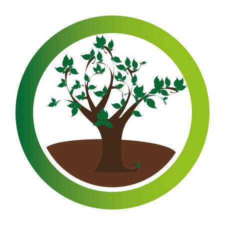 colorful circular emblem with leafy tree plant vector illustrationのイラスト素材