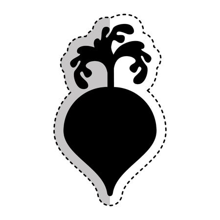 onion fresh vegetable isolated icon vector illustration designのイラスト素材