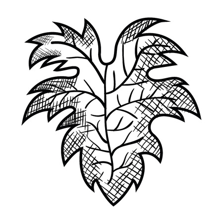 Best wine leaf icon illustration design.のイラスト素材