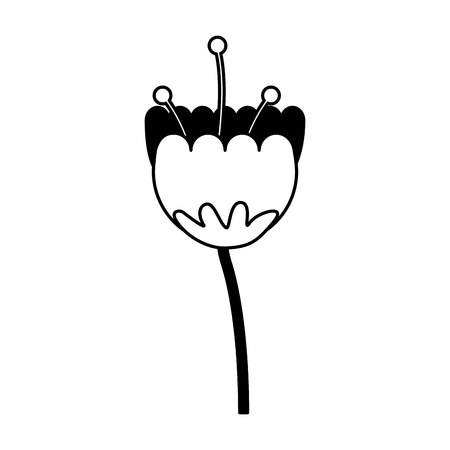 cute flower isolated icon vector illustration designのイラスト素材